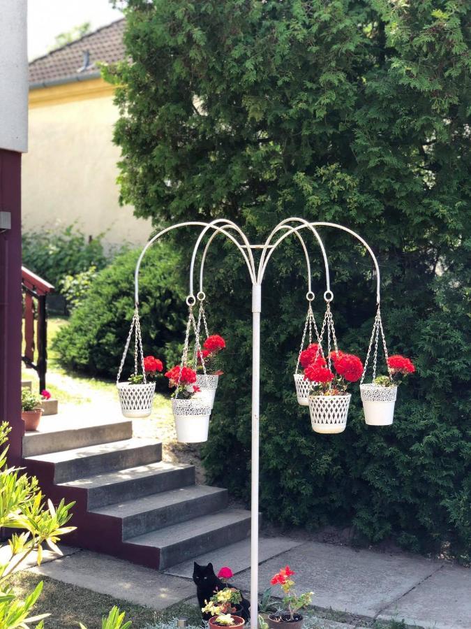 Major család apartman Heviz Exterior foto